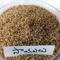Samalu provides best benefits to mankind