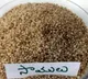 Samalu provides best benefits to mankind