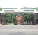 Andhra University develops new testing kit for diabetes