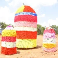 Bathukammas at Uppa Stadium during India and South Africa T20