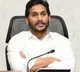 Andhra Pradesh CM YS Jagan Mohan Reddy- Increase vigilance on lumpy skin disease, take precautionary measures