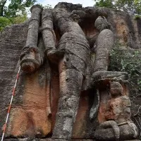 Ancient Caves and Temples Found In Madhya Pradesh Tiger Reserve