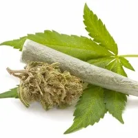 AP is in first place in Ganja