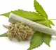 AP is in first place in Ganja