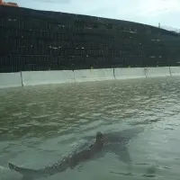Powerful hurricane Ian destructs Florida as it made landfall