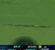 Snake enters into ground during Team India batting