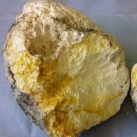 Ambergris worth Rs 50 crore seized in Tamil Nadu