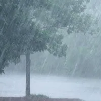 Heavy to Very Heavy Rains Expected in telangana From Tomorrow