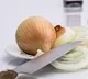 Onion may help manage blood sugar levels