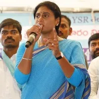 ysrtp chief ys sharmila fires on jogipet mla kranti kiran