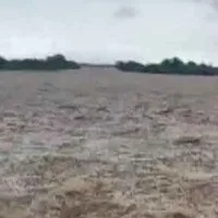 Eight drown in flash floods during Durga Puja immersion at Jalpaiguri in West Bengal