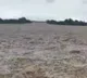 Eight drown in flash floods during Durga Puja immersion at Jalpaiguri in West Bengal