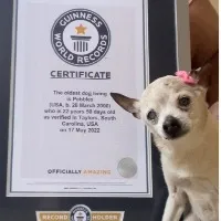 Worlds oldest dog pebbles passes away