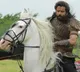 Ponniyin Selven Update