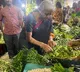union minister nirmala sitharaman purchages vegetables in chennai market