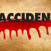Five killed in three road accidents in Telangana
