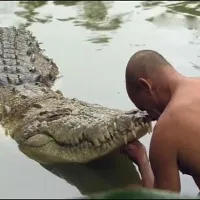 Babiya, vegetarian crocodile of Sri Ananthapura temple lake, passes away