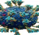 VINCOV-19, an antidote, and a cure against COVID-19, successfully completes Phase 2 Clinical Trials