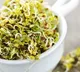 Are sprouts the ultimate superfood is it suggestable to eat