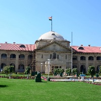Muslim man cannot force first wife to live with him: Allahabad HC
