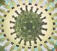 New 'highly infectious' Covid variants emerge in China