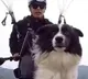 Pet dog goes paragliding with hooman Internet is divided over viral video