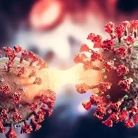 New highly infectious covid variants found in China