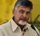 tdp chief chandrababu alerts party leaders over their performance