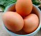 5 memory boosting foods for elderly from eggs to yoghurt