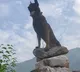Army dog Zoom dies of injuries