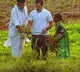 rahul gandhi interact ground nut farmers in karnataka