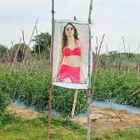 Heroines’ posters to ‘ward off evil eye’