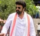 Balakrishna in Gopichand Malineni movie