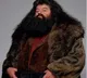 Harry Potter's 'Hagrid' Robbie Coltrane passes away at 72