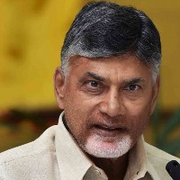 Chandrababu condemns police searches in Vizag hotel