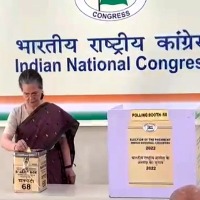I was waiting for long time: Sonia on Congress Presidential poll