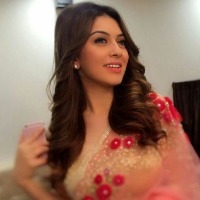 Is Hansika Motwani tying nuptial knot with Mumbai-based businessman at Jaipur fort?