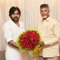 Chandrababu, Pawan Kalyan decide to work together to 'save democracy'