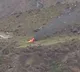 Helicopter crashed at Kedarnath