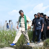 Over 3,000 farmers committed suicide after Jagan came to power: Chandrababu