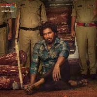 'Pushpa 2' beats Shahrukh's 'Pathan', Salman's Tiger 3 in most-awaited films' list