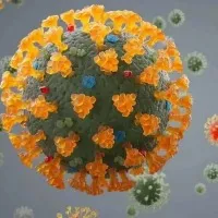 COVID19 XXB variant spreading fast likely to be most contagious in Maharashtra