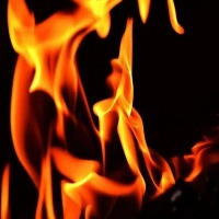 36 e-bikes gutted in motor showroom fire in Andhra