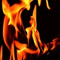 36 e-bikes gutted in motor showroom fire in Andhra