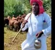 KA Paul turns into a shepherd