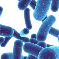 Probiotics can help your children stay healthy