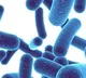 Probiotics can help your children stay healthy