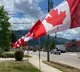 Report says Canada exploiting Indian students for 'cheap labour'