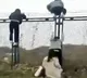 Workers Escaping Lockdown At Chinas Largest iPhone Factory