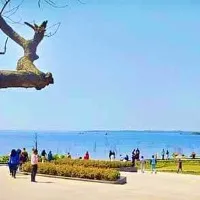 ktr post on a tourism in hyderabad goes viral on socialmedia